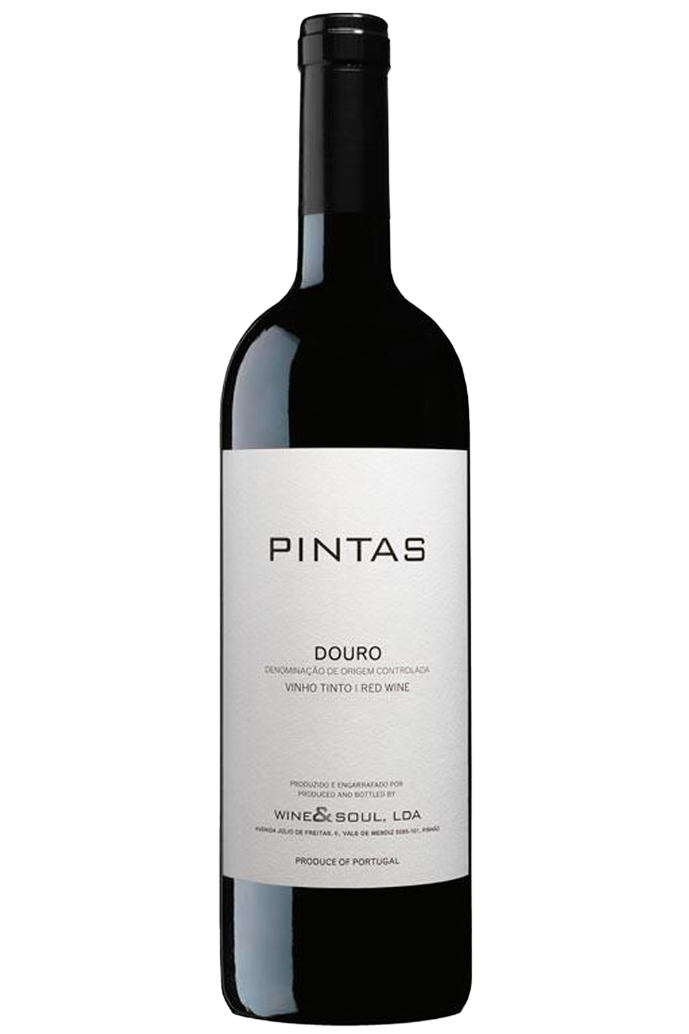 WineVins Pintas Tinto Magnum 2020